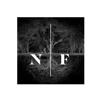 New-Forest-Film-Co